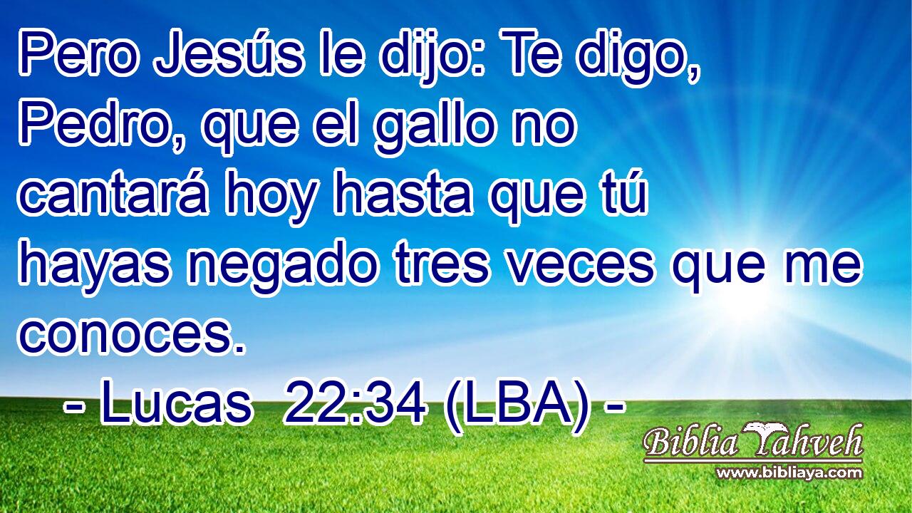 Pero Jesús le dijo: Te digo, Pedro, que el gallo no cantará hoy hasta que tú hayas negado tres veces que me conoces.