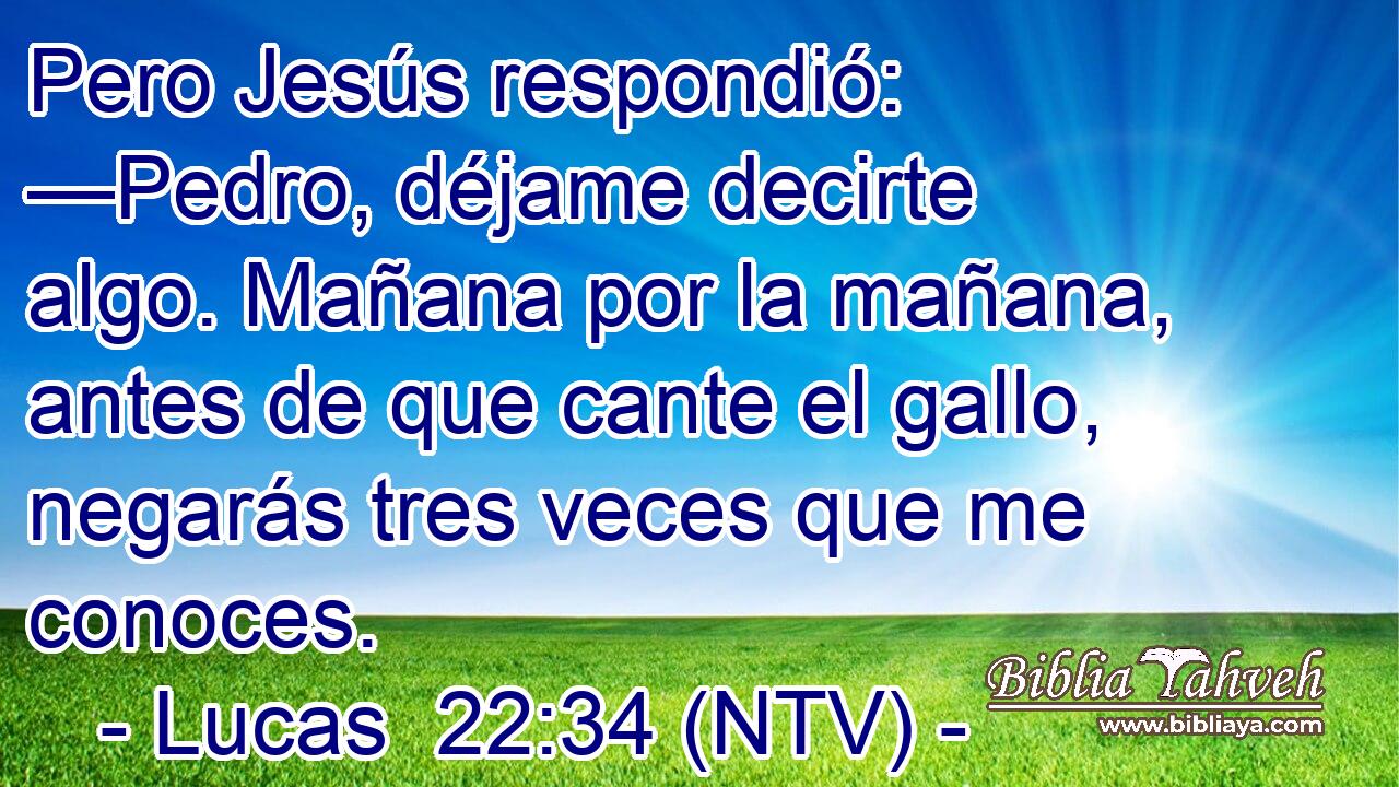 Pero Jesús respondió: —Pedro, déjame decirte algo. Mañana por la mañana, antes de que cante el gallo, negarás tres veces que me conoces.