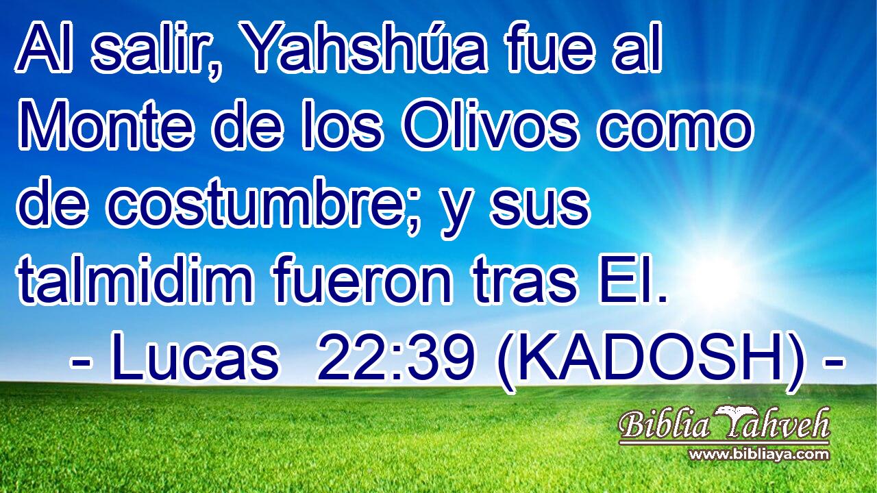  Al salir, Yahshúa fue al Monte de los Olivos como de costumbre; y sus talmidim fueron tras El. 
