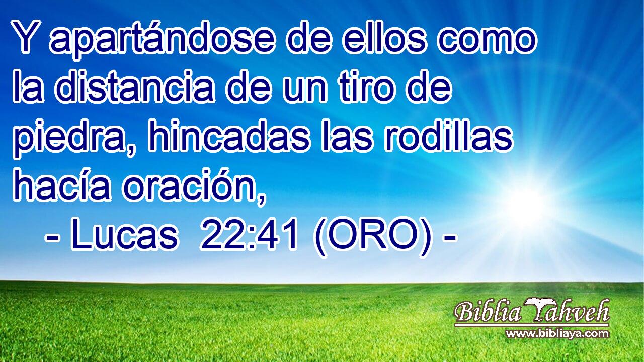  Y apartándose de ellos como la distancia de un tiro de piedra, hincadas las rodillas hacía oración, 