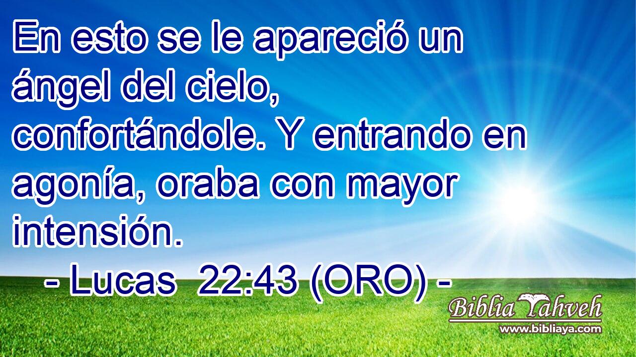  En esto se le apareció un ángel del cielo, confortándole. Y entrando en agonía, oraba con mayor intensión. 