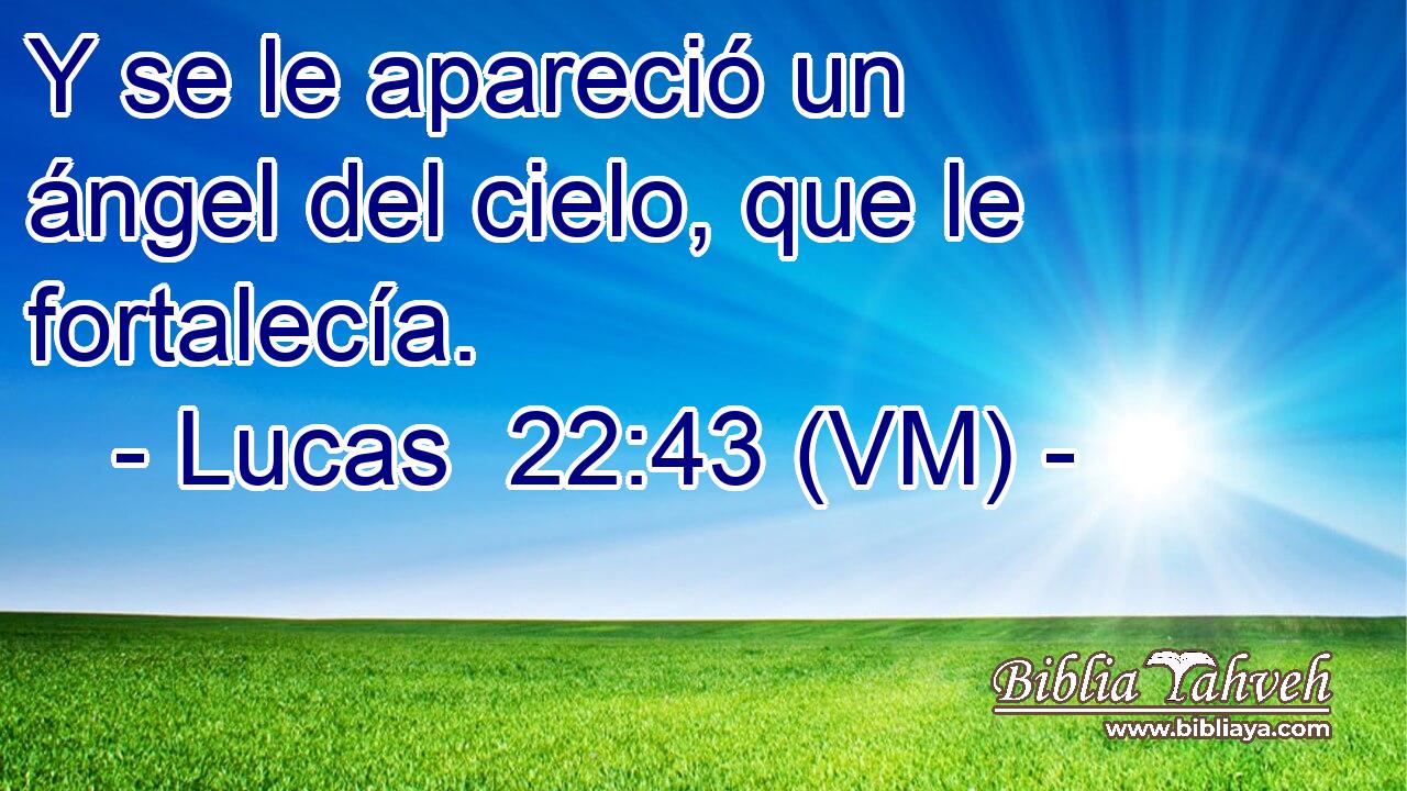  Y se le apareció un ángel del cielo, que le fortalecía. 