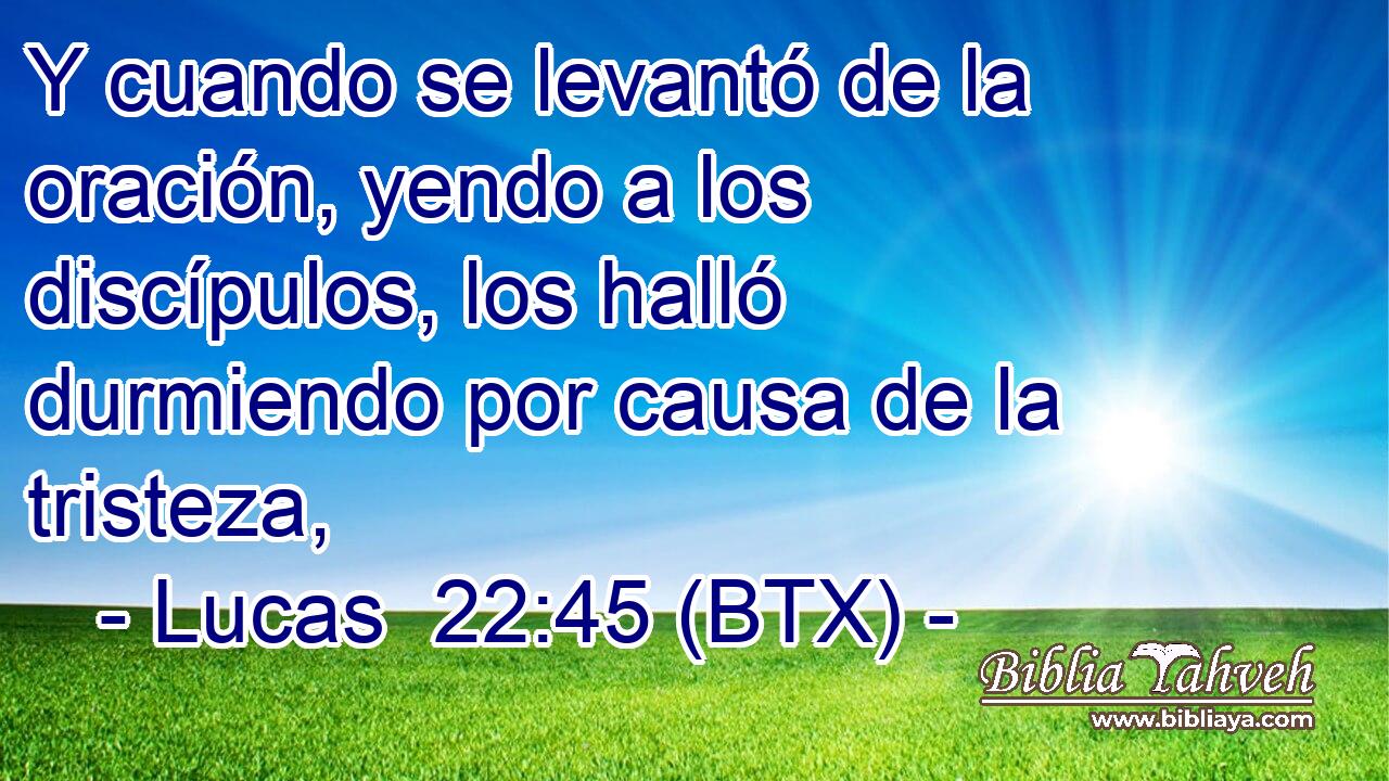 Y cuando se levantó de la oración, yendo a los discípulos, los halló durmiendo por causa de la tristeza,