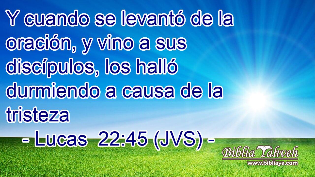 Y cuando se levantó de la oración, y vino a sus discípulos, los halló durmiendo a causa de la tristeza