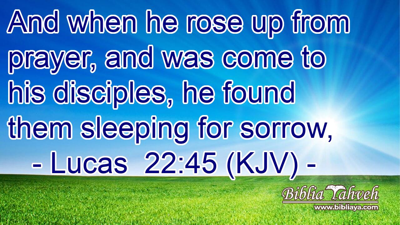 And when he rose up from prayer, and was come to his disciples, he found them sleeping for sorrow,