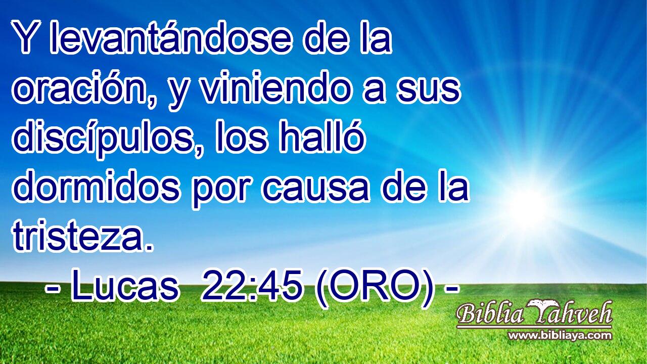  Y levantándose de la oración, y viniendo a sus discípulos, los halló dormidos por causa de la tristeza. 