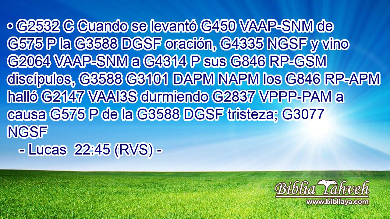 • G2532 C Cuando se levantó G450 VAAP-SNM de G575 P la G3588 DGSF oración, G4335 NGSF y vino G2064 VAAP-SNM a G4314 P sus G846 RP-GSM discípulos, G3588 G3101 DAPM NAPM los G846 RP-APM halló G2147 VAAI3S durmiendo G2837 VPPP-PAM a causa G575 P de la G3588 DGSF tristeza; G3077 NGSF 