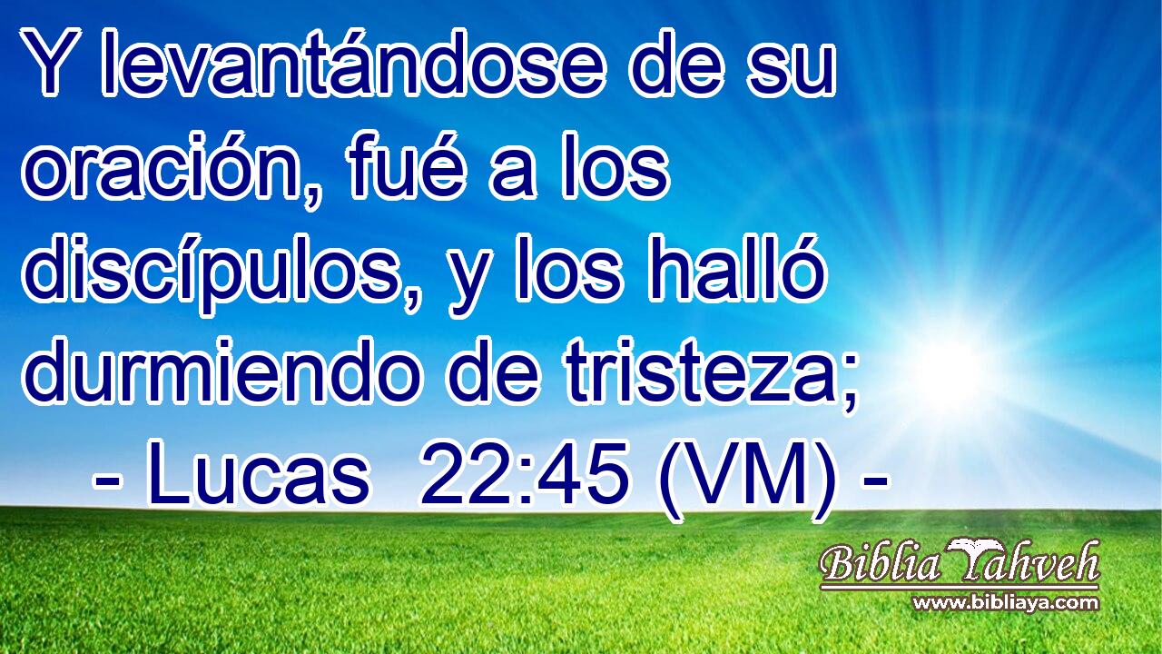  Y levantándose de su oración, fué a los discípulos, y los halló durmiendo de tristeza; 