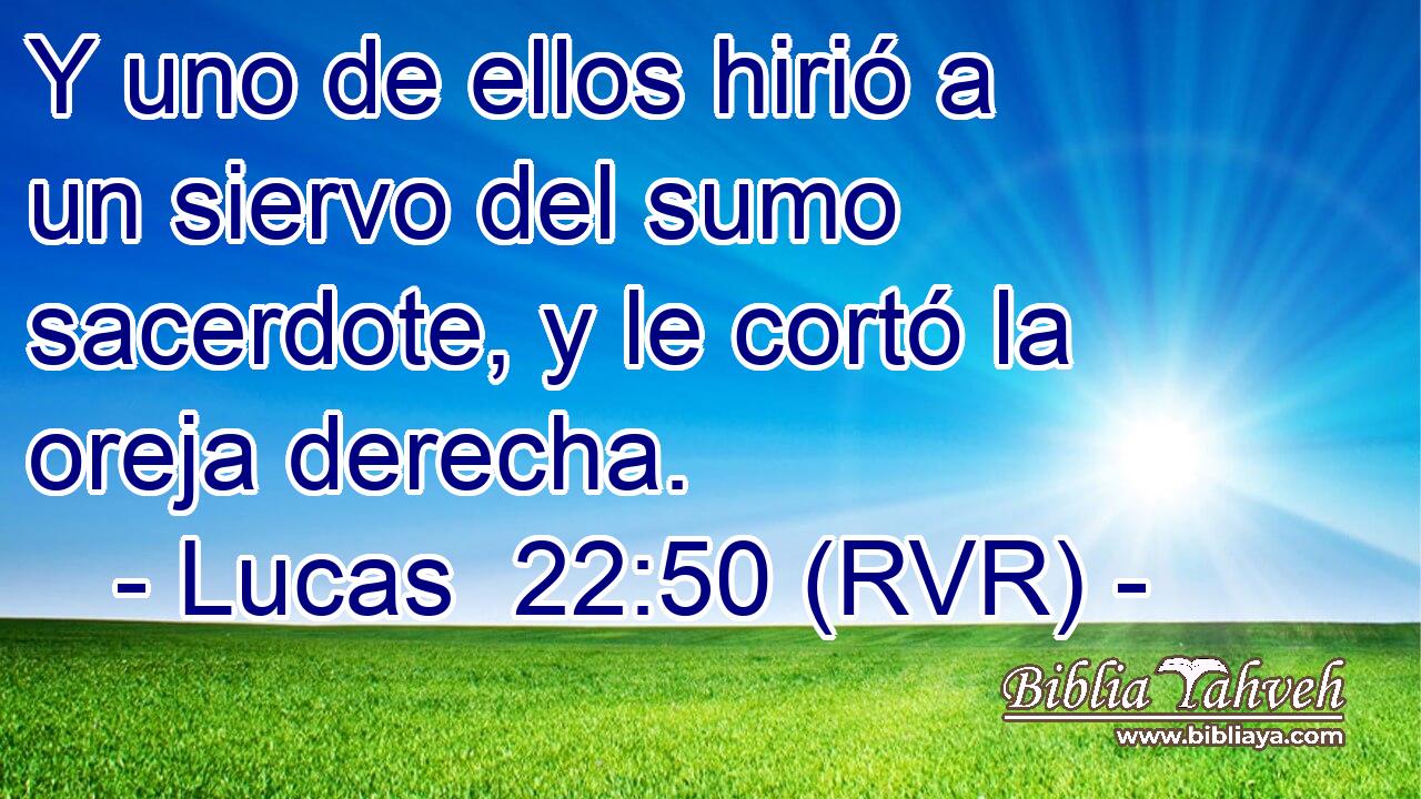 Y uno de ellos hirió a un siervo del sumo sacerdote, y le cortó la oreja derecha.