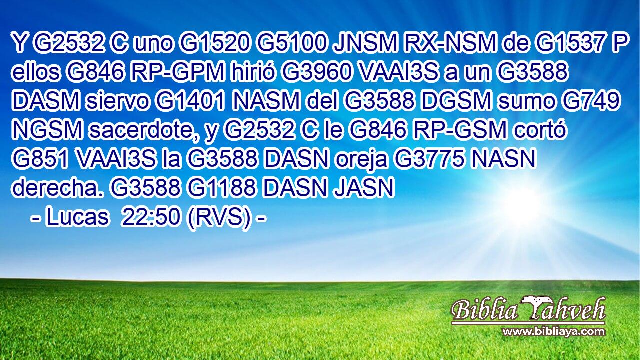 Y G2532 C uno G1520 G5100 JNSM RX-NSM de G1537 P ellos G846 RP-GPM hirió G3960 VAAI3S a un G3588 DASM siervo G1401 NASM del G3588 DGSM sumo G749 NGSM sacerdote, y G2532 C le G846 RP-GSM cortó G851 VAAI3S la G3588 DASN oreja G3775 NASN derecha. G3588 G1188 DASN JASN 