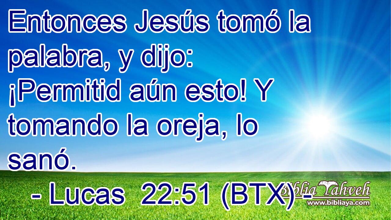 Entonces Jesús tomó la palabra, y dijo: ¡Permitid aún esto! Y tomando la oreja, lo sanó.
