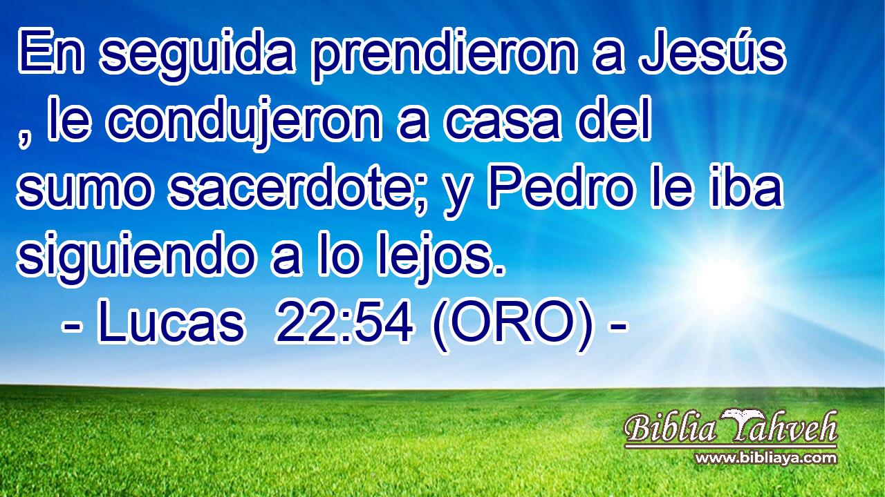  En seguida prendieron a Jesús , le condujeron a casa del sumo sacerdote; y Pedro le iba siguiendo a lo lejos. 