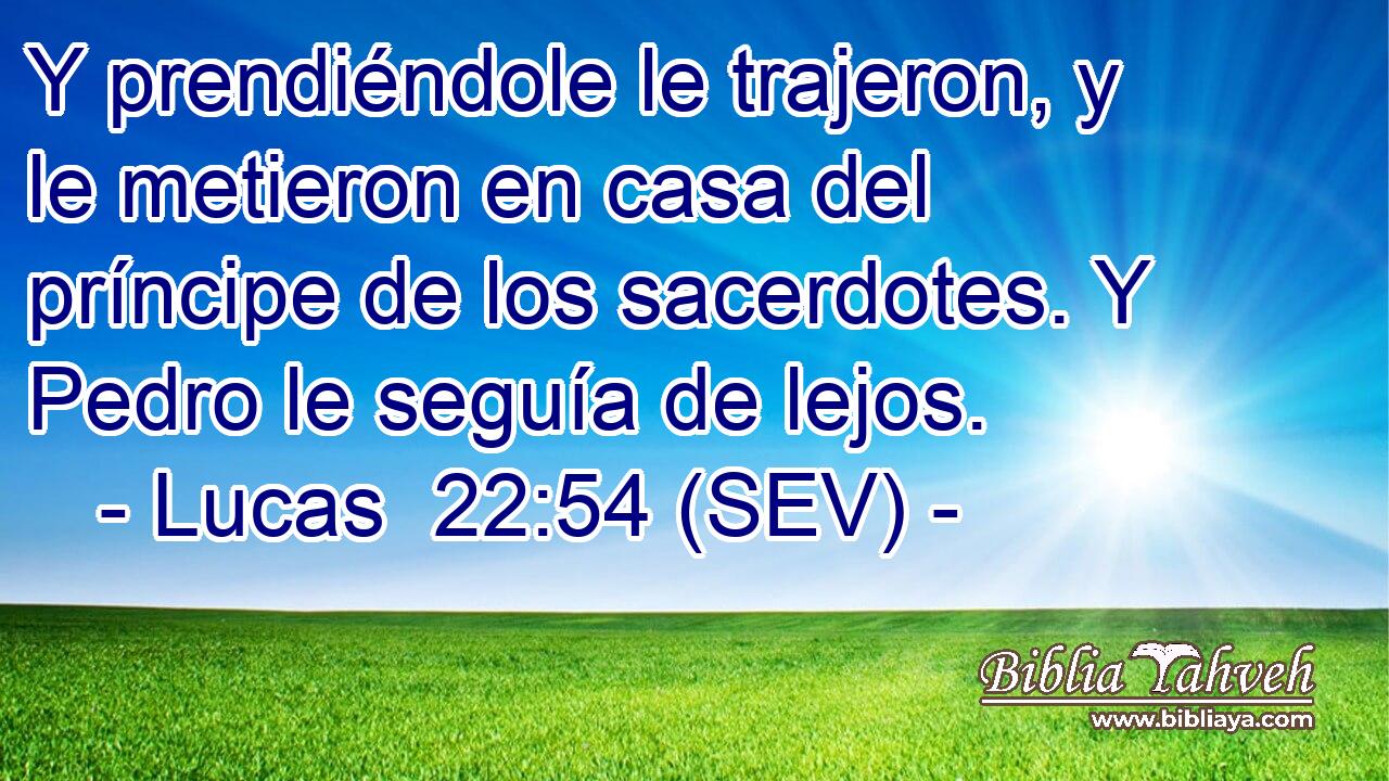 Y prendiéndole le trajeron, y le metieron en casa del príncipe de los sacerdotes. Y Pedro le seguía de lejos.