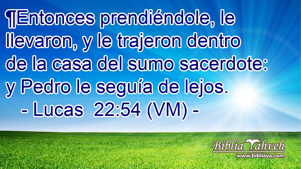  ¶Entonces prendiéndole, le llevaron, y le trajeron dentro de la casa del sumo sacerdote: y Pedro le seguía de lejos. 