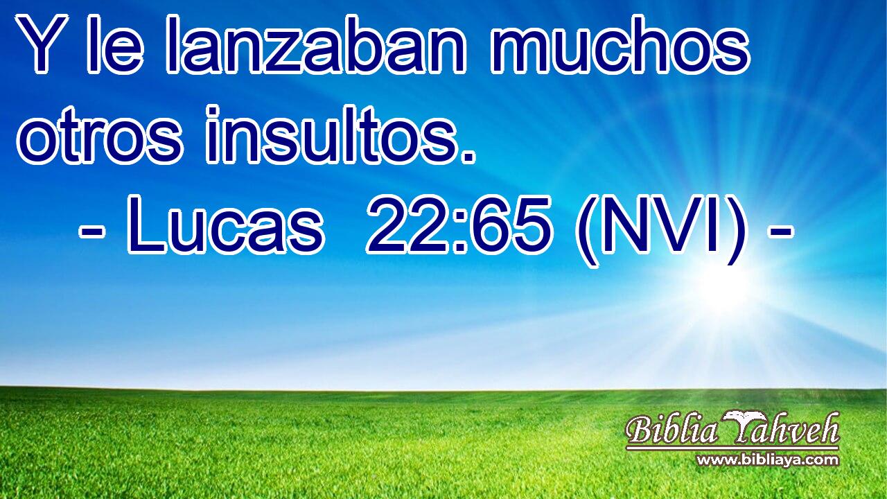  Y le lanzaban muchos otros insultos. 