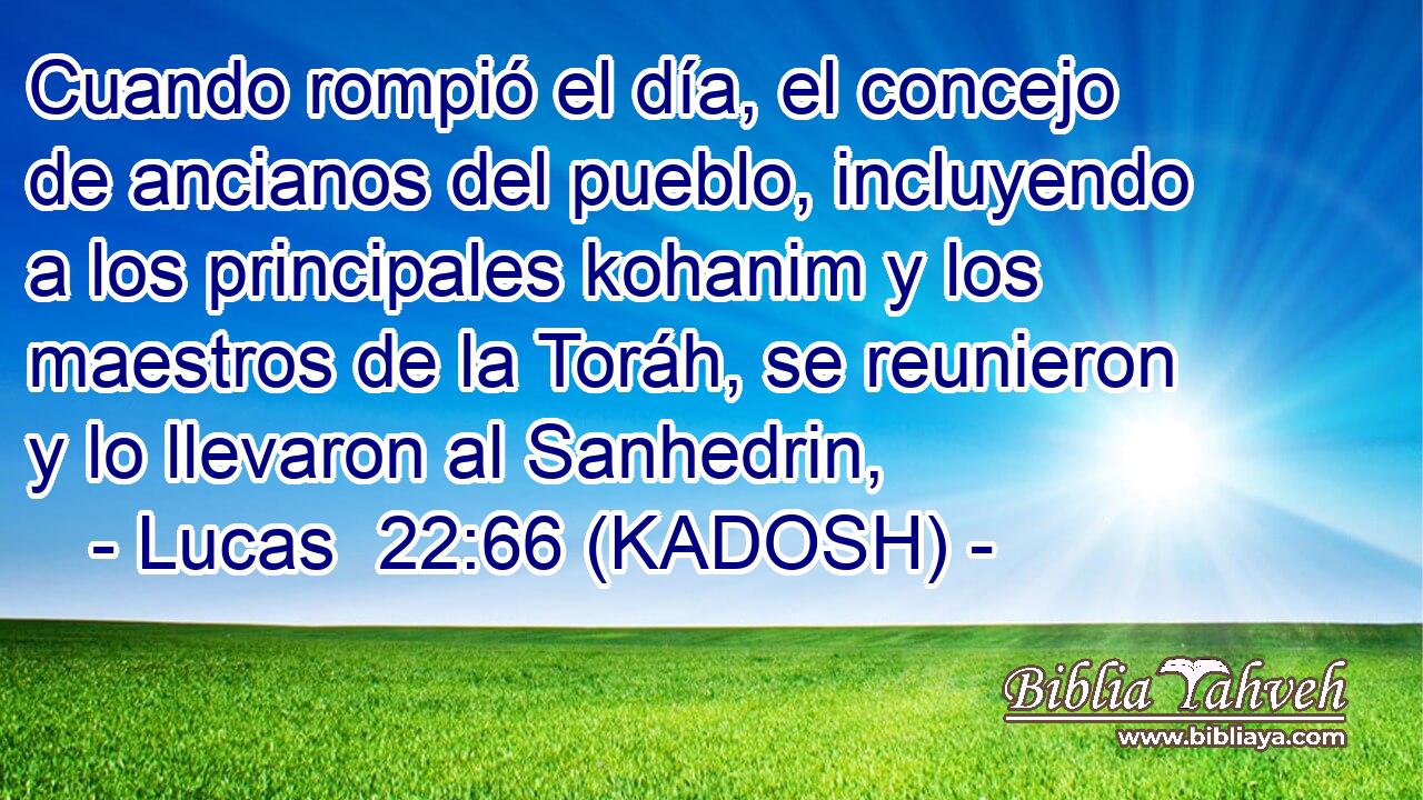  Cuando rompió el día, el concejo de ancianos del pueblo, incluyendo a los principales kohanim y los maestros de la Toráh, se reunieron y lo llevaron al Sanhedrin, 