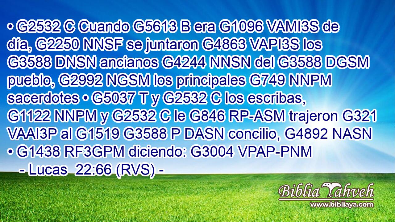 • G2532 C Cuando G5613 B era G1096 VAMI3S de día, G2250 NNSF se juntaron G4863 VAPI3S los G3588 DNSN ancianos G4244 NNSN del G3588 DGSM pueblo, G2992 NGSM los principales G749 NNPM sacerdotes • G5037 T y G2532 C los escribas, G1122 NNPM y G2532 C le G846 RP-ASM trajeron G321 VAAI3P al G1519 G3588 P DASN concilio, G4892 NASN • G1438 RF3GPM diciendo: G3004 VPAP-PNM 