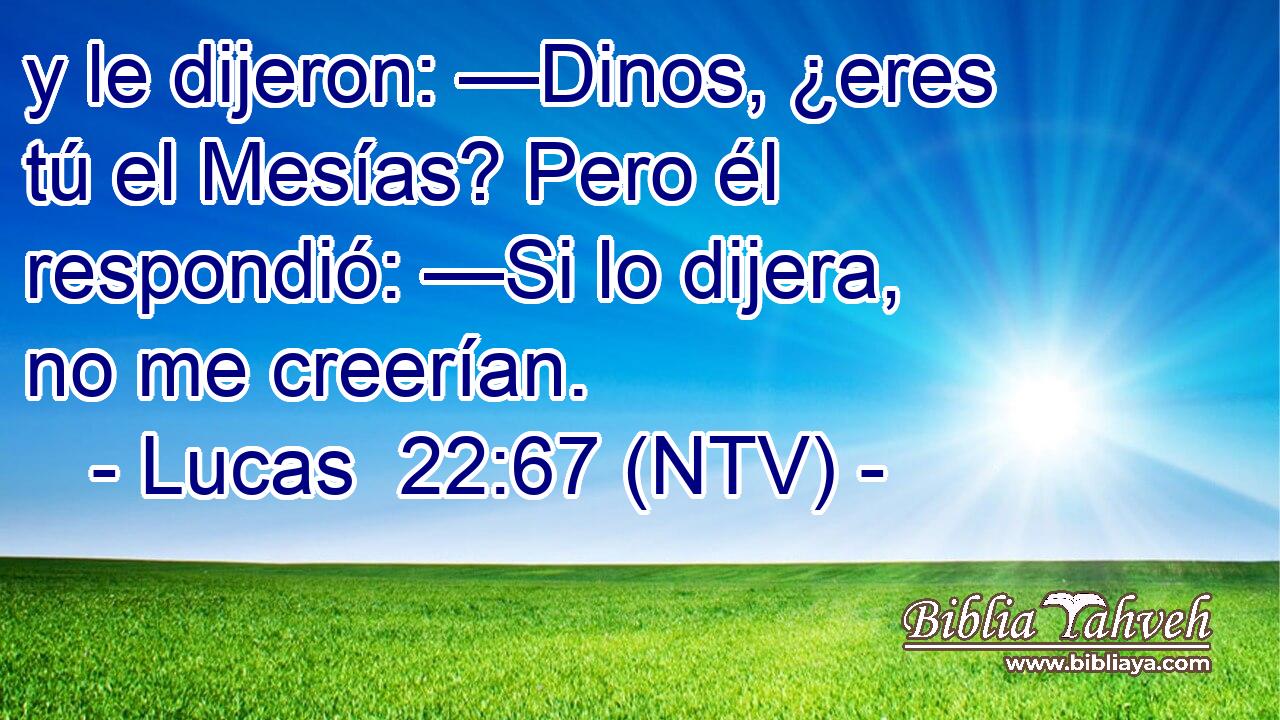 y le dijeron: —Dinos, ¿eres tú el Mesías? Pero él respondió: —Si lo dijera, no me creerían.