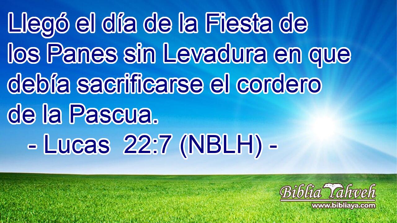  Llegó el día de la Fiesta de los Panes sin Levadura en que debía sacrificarse el cordero de la Pascua. 