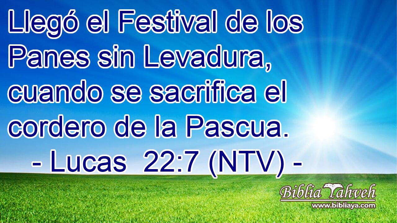 Llegó el Festival de los Panes sin Levadura, cuando se sacrifica el cordero de la Pascua.