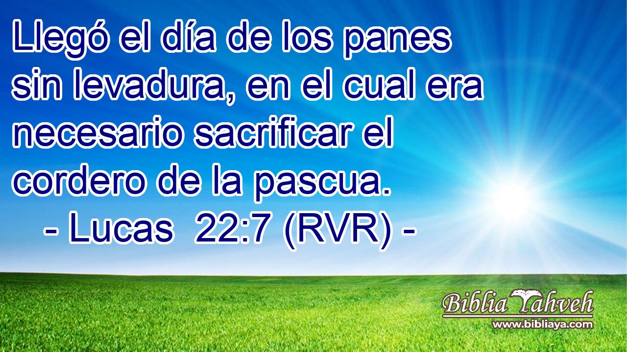 Llegó el día de los panes sin levadura, en el cual era necesario sacrificar el cordero de la pascua.