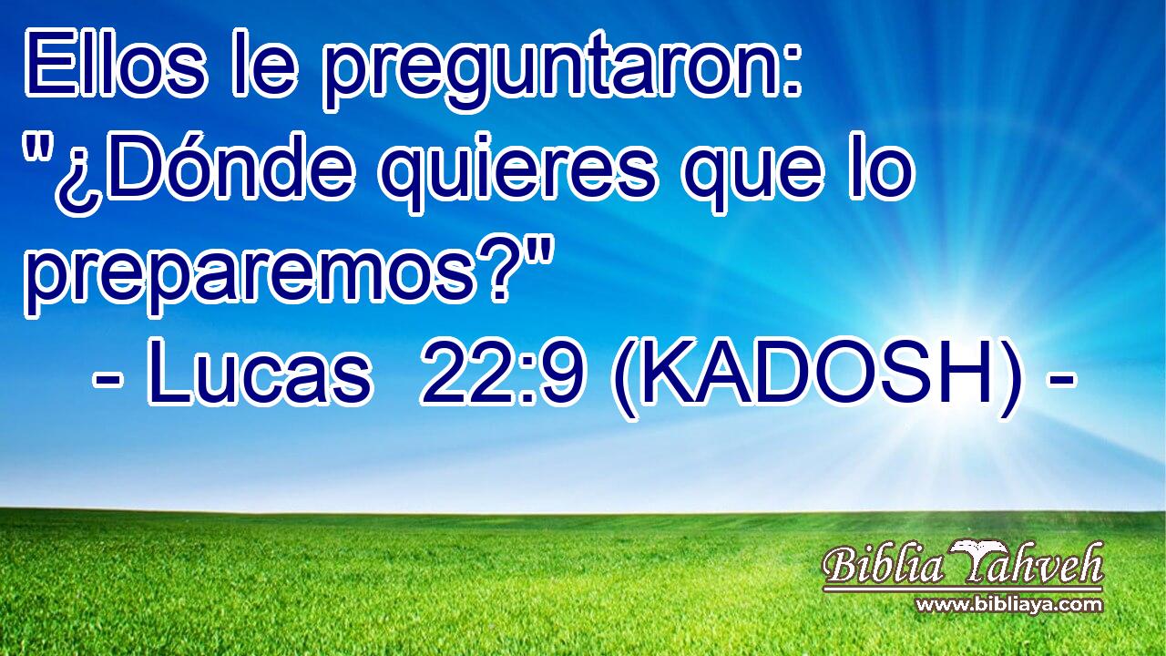  Ellos le preguntaron: 