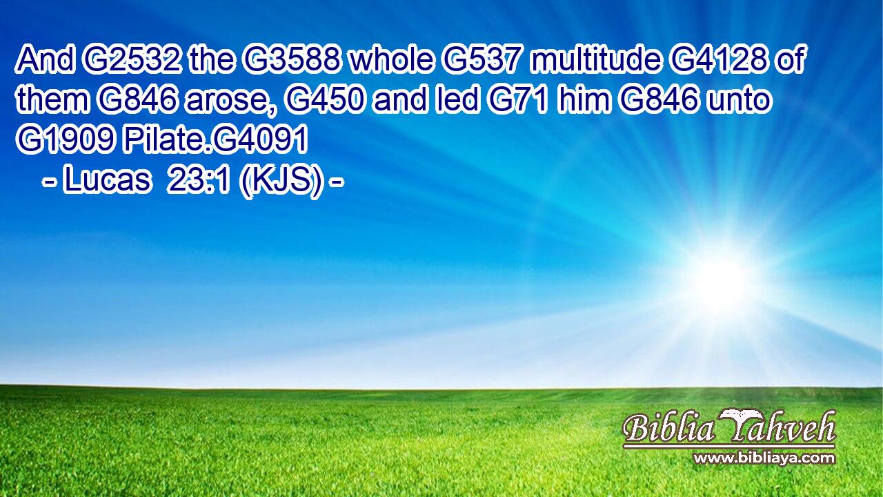 And G2532 the G3588 whole G537 multitude G4128 of them G846 arose, G450 and led G71 him G846 unto G1909 Pilate.G4091