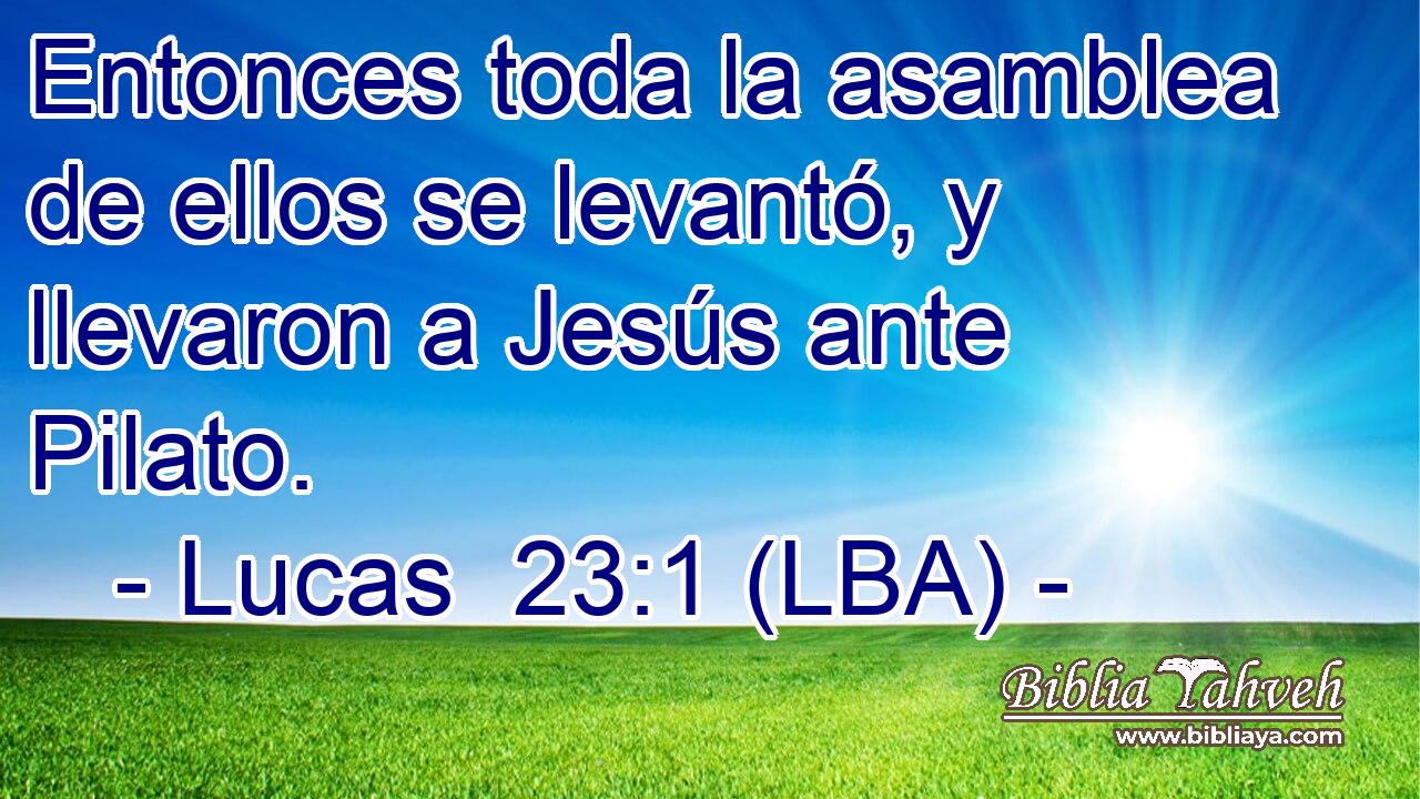 Entonces toda la asamblea de ellos se levantó, y llevaron a Jesús ante Pilato.