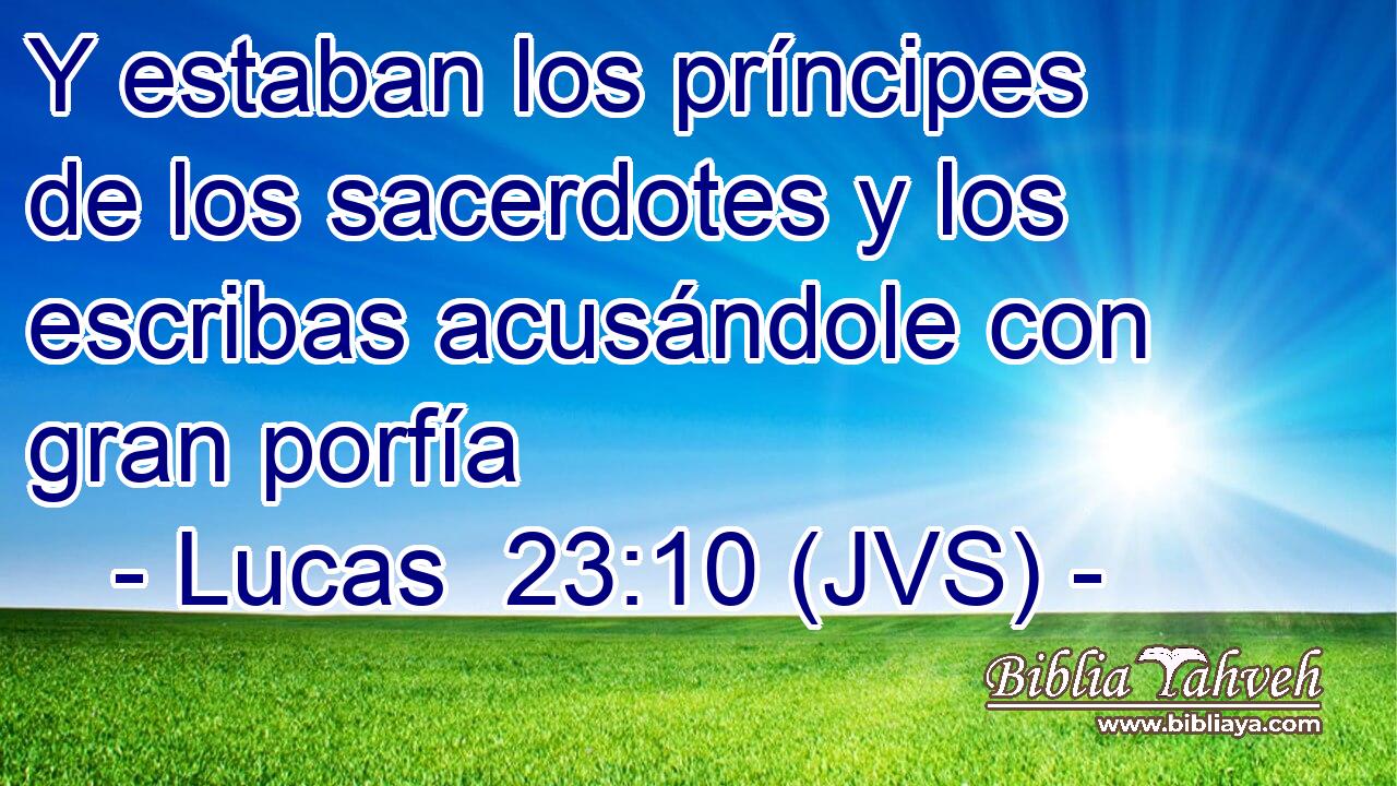 Y estaban los príncipes de los sacerdotes y los escribas acusándole con gran porfía