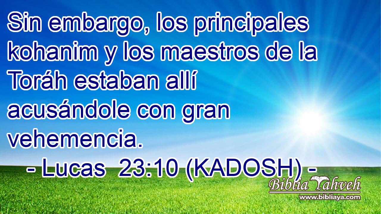  Sin embargo, los principales kohanim y los maestros de la Toráh estaban allí acusándole con gran vehemencia. 