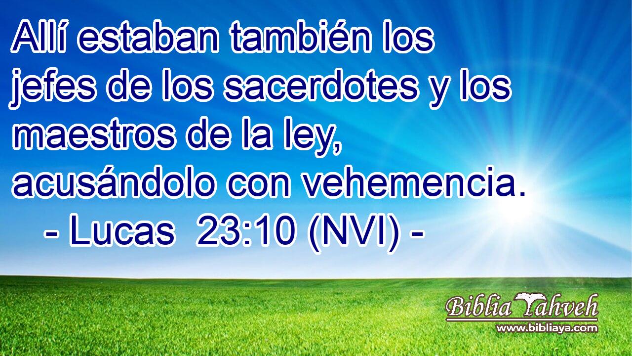  Allí estaban también los jefes de los sacerdotes y los maestros de la ley, acusándolo con vehemencia. 