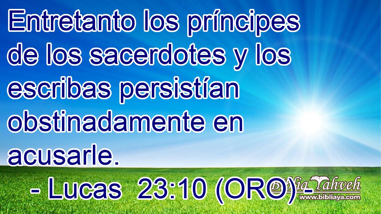  Entretanto los príncipes de los sacerdotes y los escribas persistían obstinadamente en acusarle. 