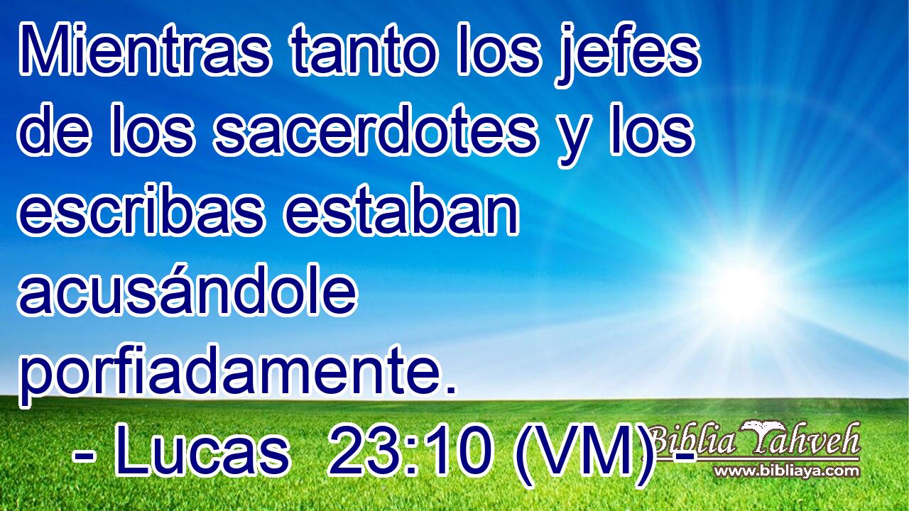  Mientras tanto los jefes de los sacerdotes y los escribas estaban acusándole porfiadamente. 