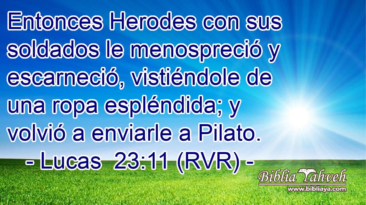 Entonces Herodes con sus soldados le menospreció y escarneció, vistiéndole de una ropa espléndida; y volvió a enviarle a Pilato.