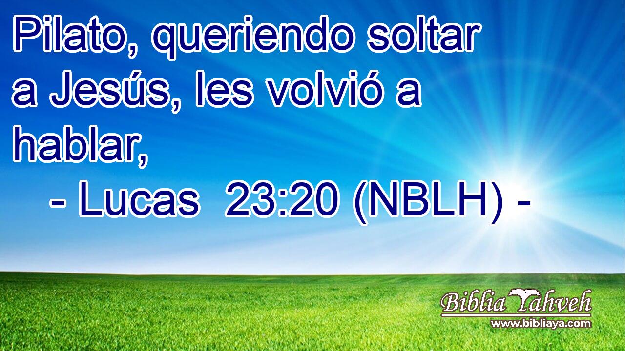  Pilato, queriendo soltar a Jesús, les volvió a hablar, 