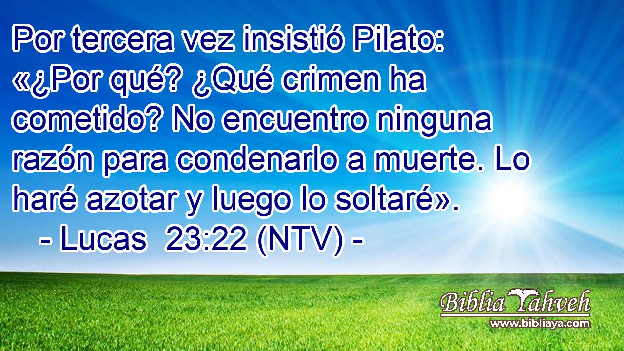 Por tercera vez insistió Pilato: «¿Por qué? ¿Qué crimen ha cometido? No encuentro ninguna razón para condenarlo a muerte. Lo haré azotar y luego lo soltaré».