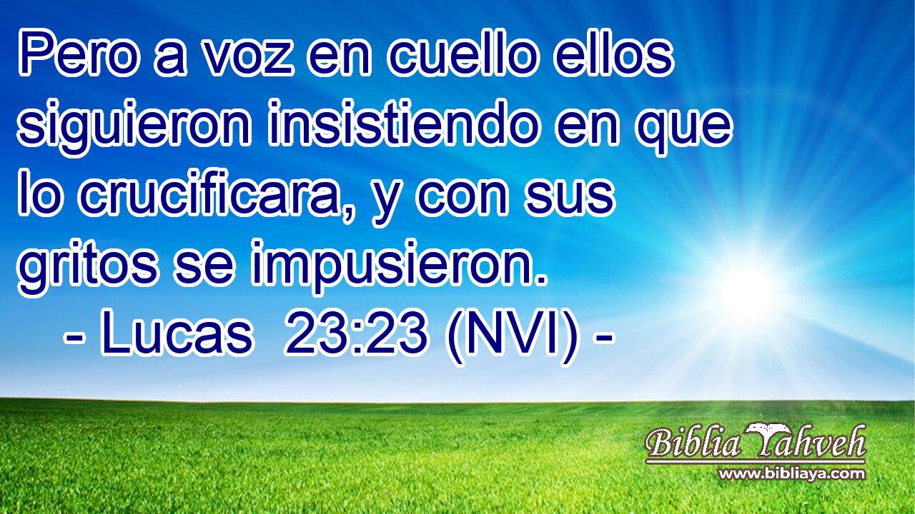  Pero a voz en cuello ellos siguieron insistiendo en que lo crucificara, y con sus gritos se impusieron. 