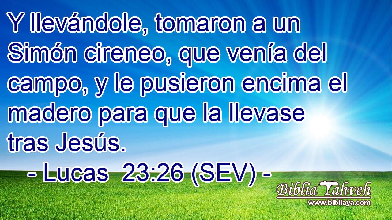 Y llevándole, tomaron a un Simón cireneo, que venía del campo, y le pusieron encima el madero para que la llevase tras Jesús.