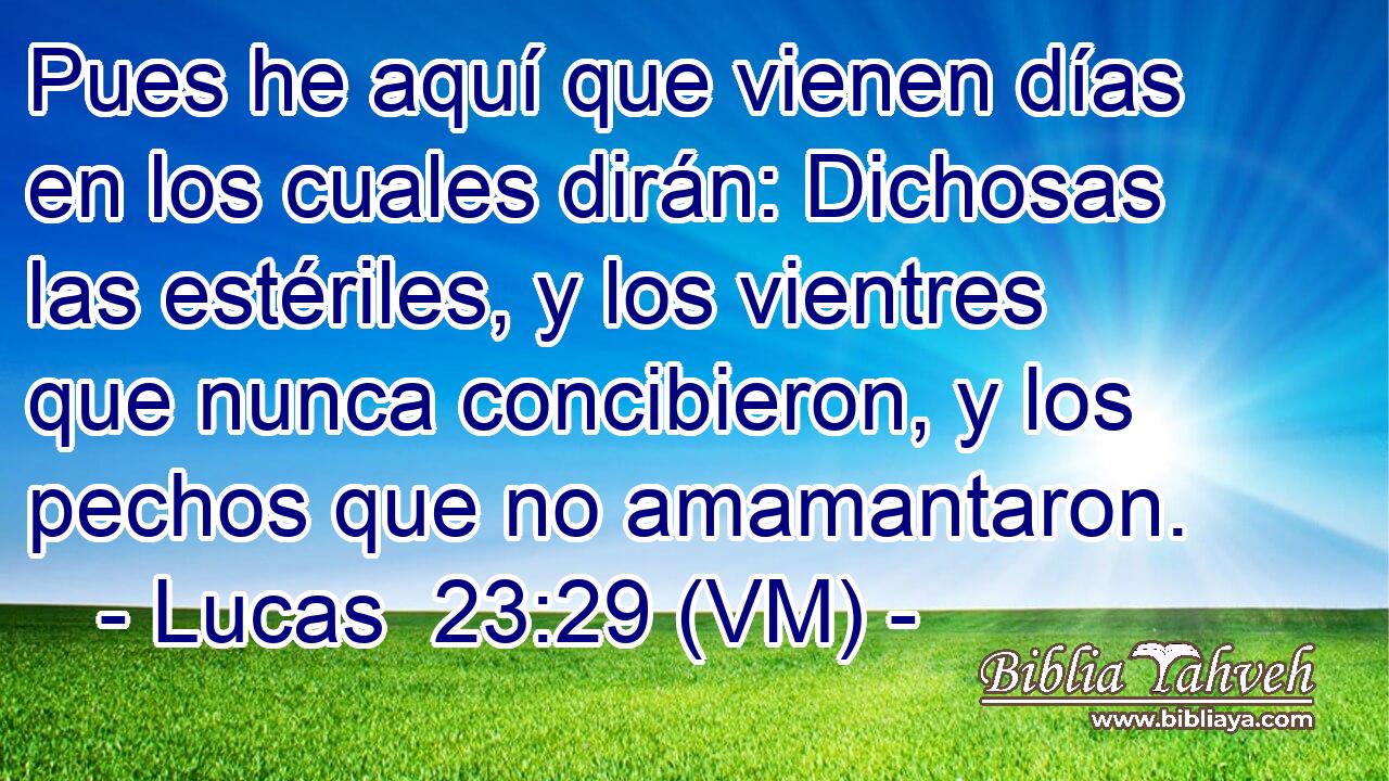  Pues he aquí que vienen días en los cuales dirán: Dichosas las estériles, y los vientres que nunca concibieron, y los pechos que no amamantaron. 