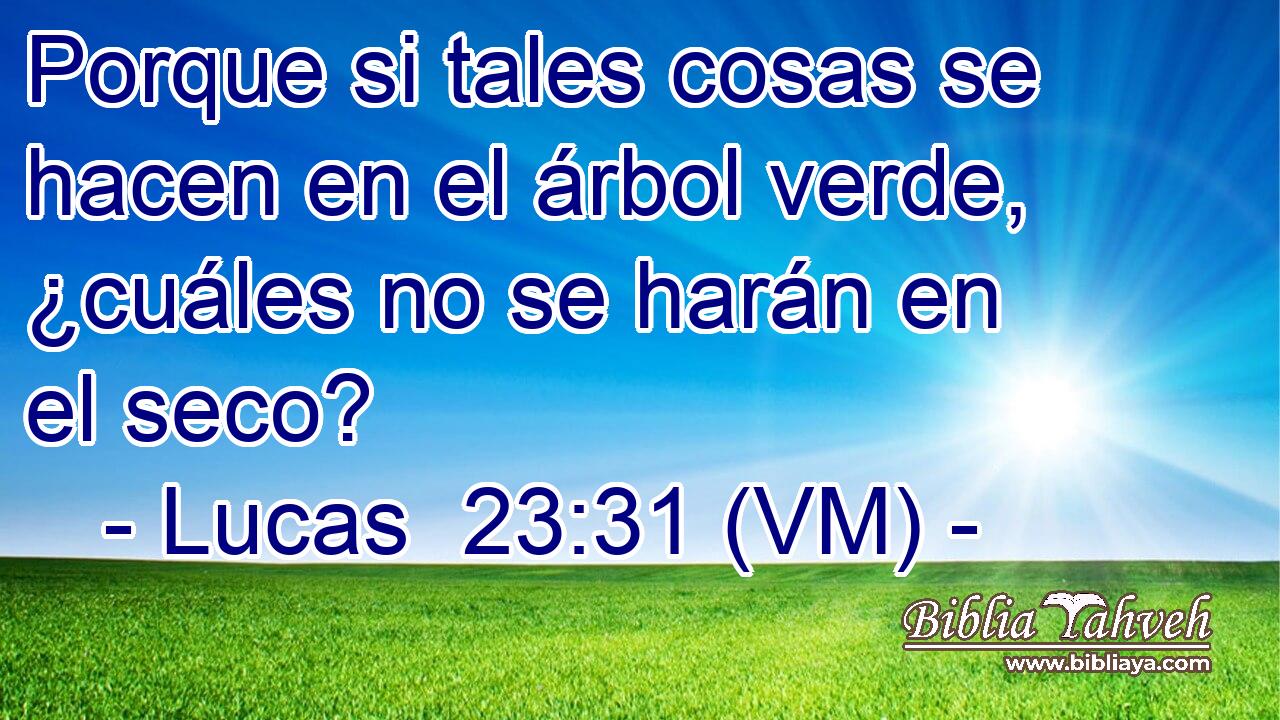  Porque si tales cosas se hacen en el árbol verde, ¿cuáles no se harán en el seco? 