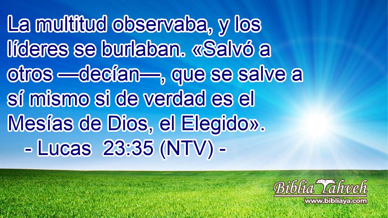 La multitud observaba, y los líderes se burlaban. «Salvó a otros —decían—, que se salve a sí mismo si de verdad es el Mesías de Dios, el Elegido».