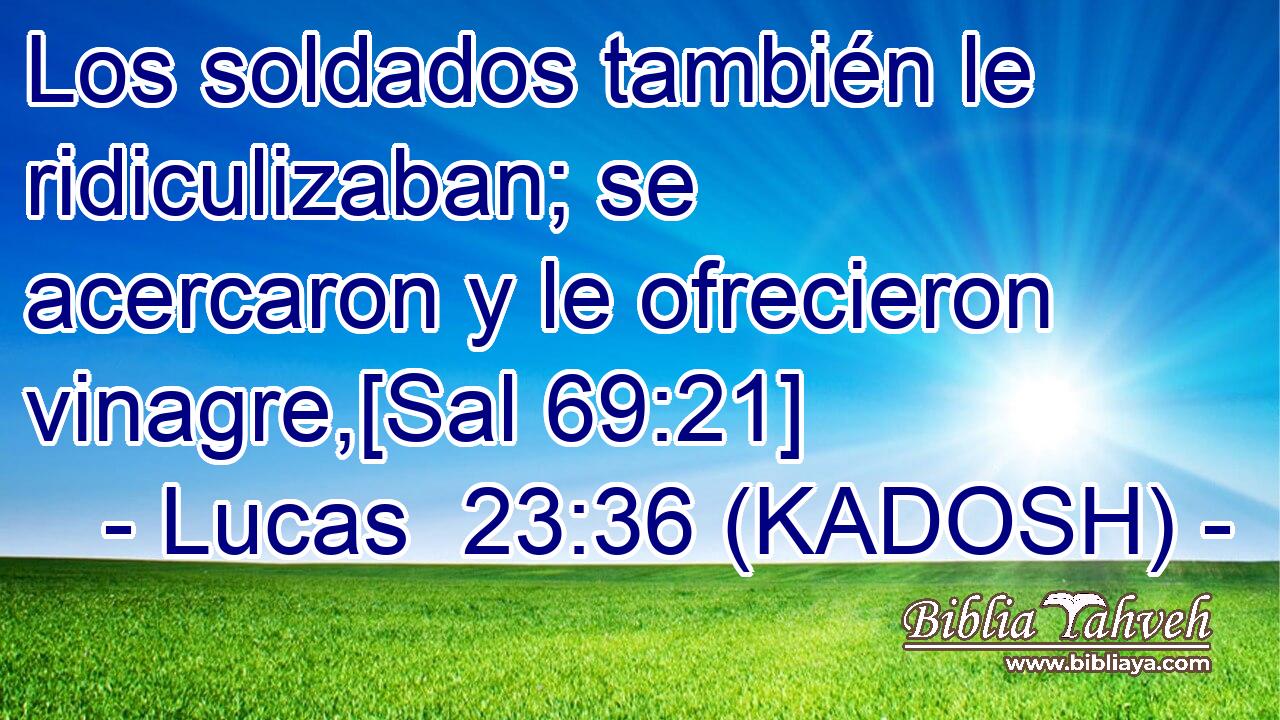  Los soldados también le ridiculizaban; se acercaron y le ofrecieron vinagre,[Sal 69:21] 