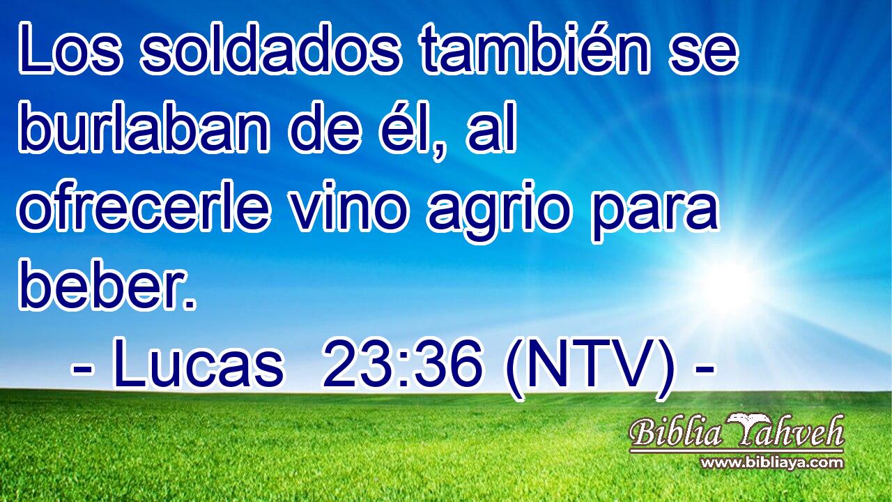 Los soldados también se burlaban de él, al ofrecerle vino agrio para beber.