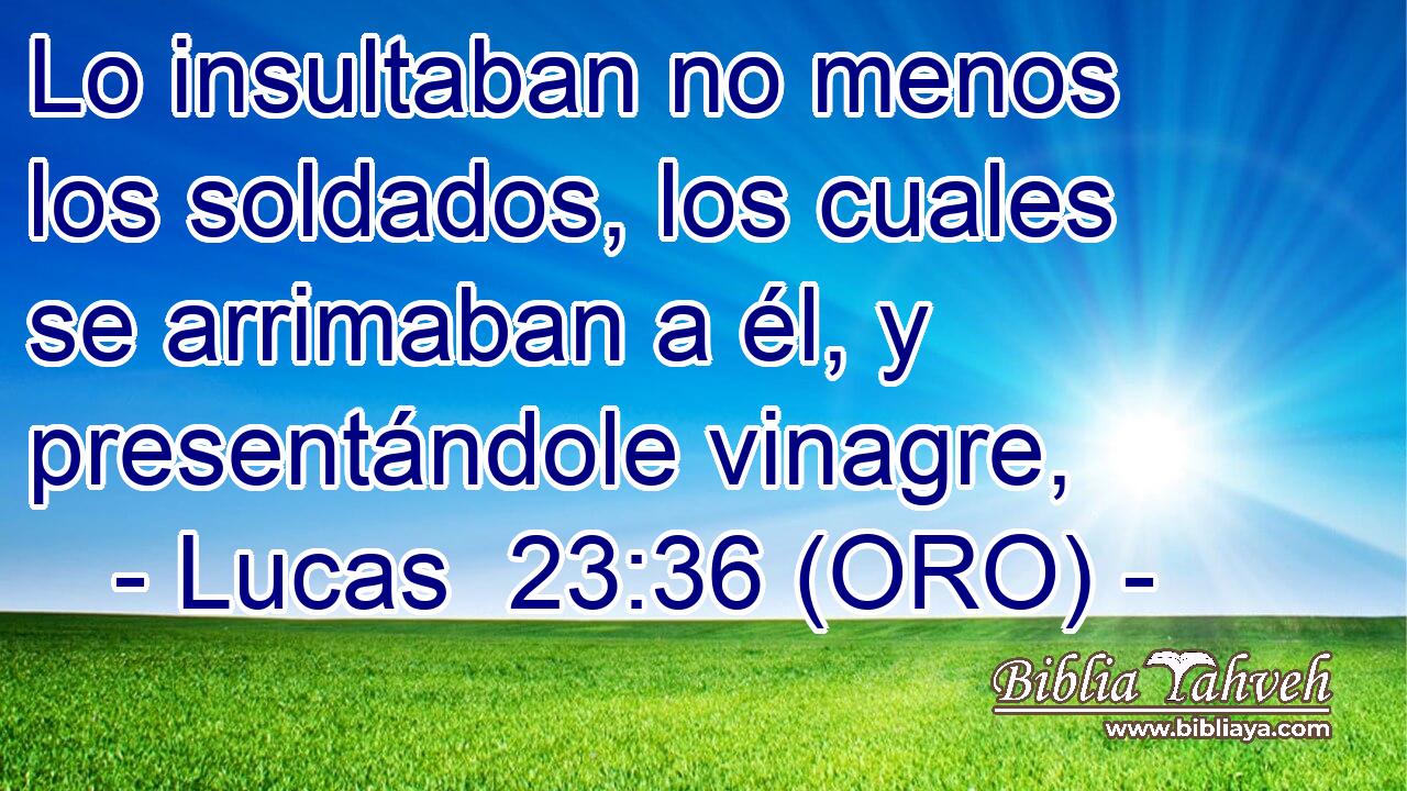  Lo insultaban no menos los soldados, los cuales se arrimaban a él, y presentándole vinagre, 