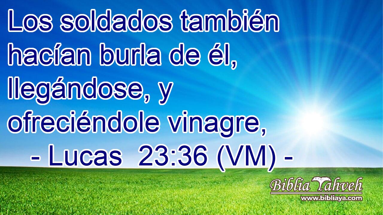  Los soldados también hacían burla de él, llegándose, y ofreciéndole vinagre, 