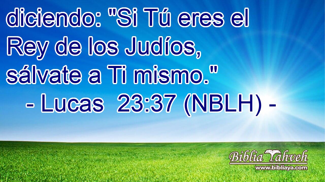  diciendo: 
