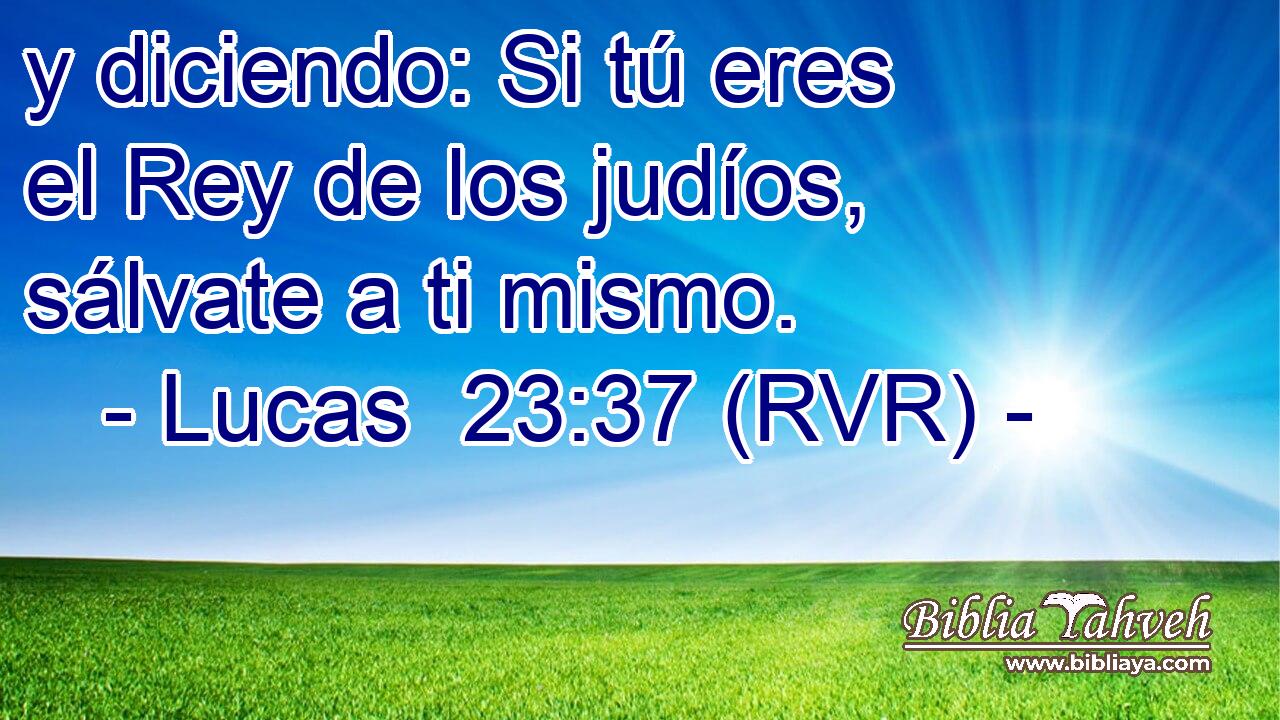y diciendo: Si tú eres el Rey de los judíos, sálvate a ti mismo.