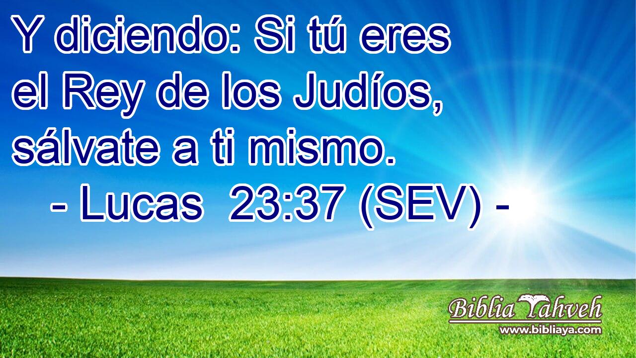 Y diciendo: Si tú eres el Rey de los Judíos, sálvate a ti mismo.