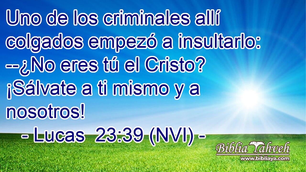  Uno de los criminales allí colgados empezó a insultarlo: --¿No eres tú el Cristo? ¡Sálvate a ti mismo y a nosotros! 