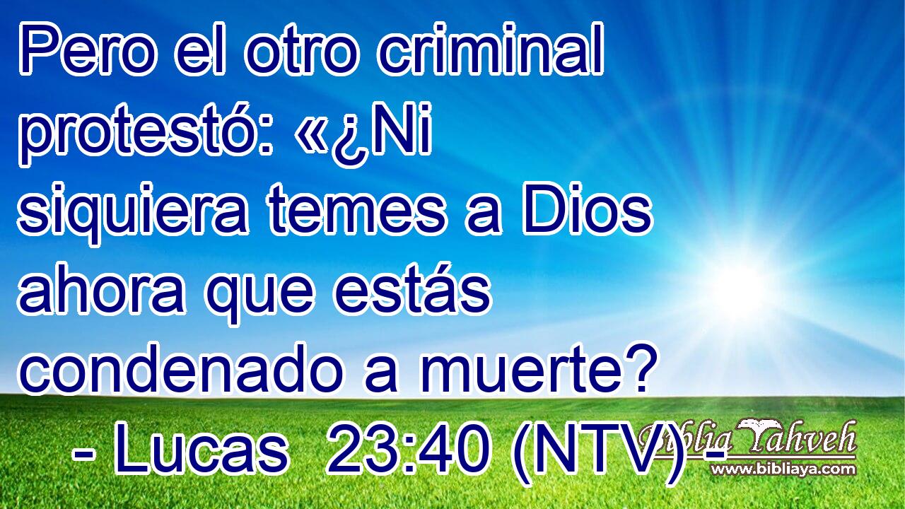 Pero el otro criminal protestó: «¿Ni siquiera temes a Dios ahora que estás condenado a muerte?